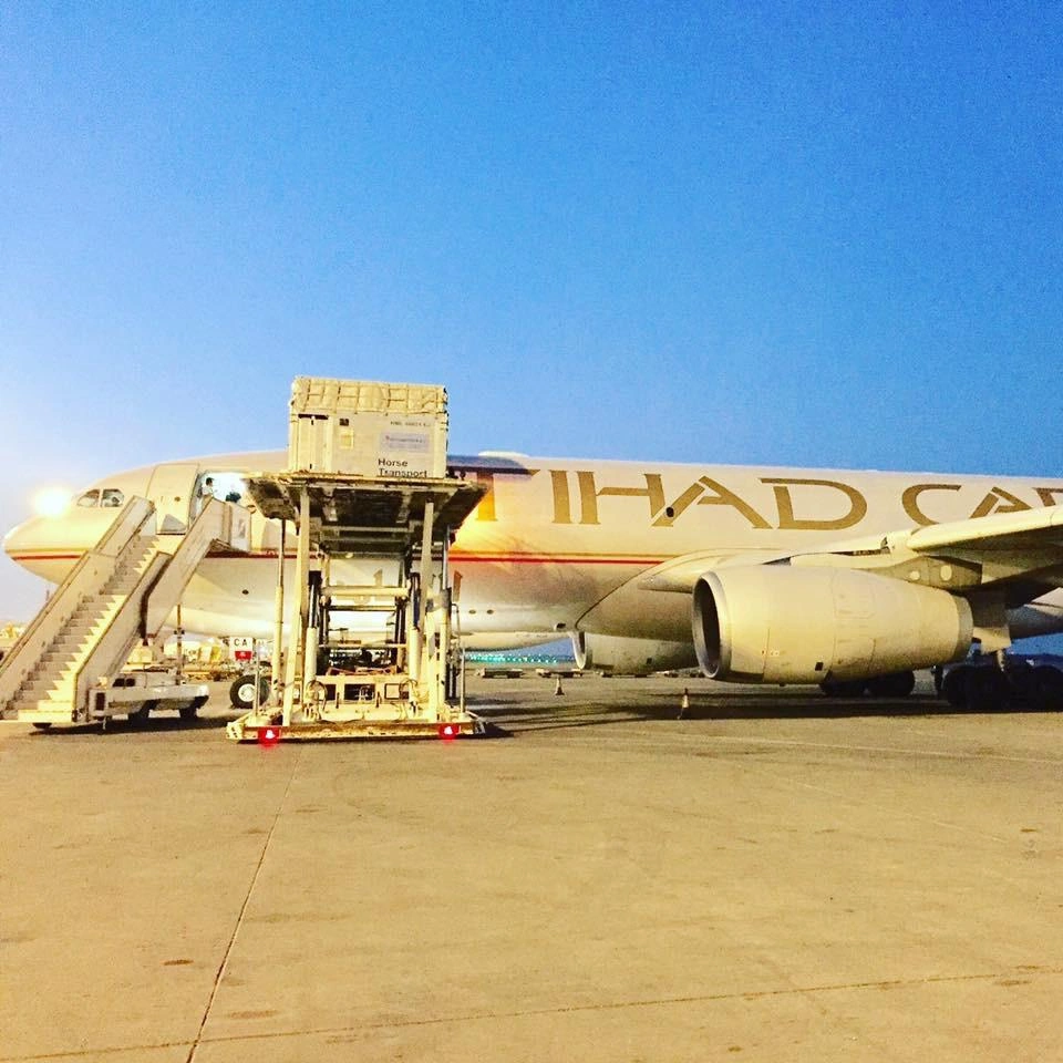 Horse air stalls being loaded onto a freighter aircraft