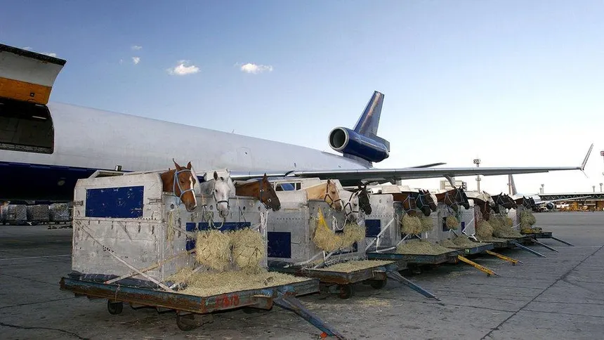 Air Import